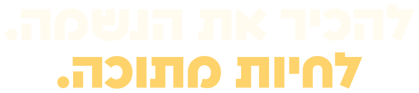 להכיר את הנשמה. לחיות מתוכה.